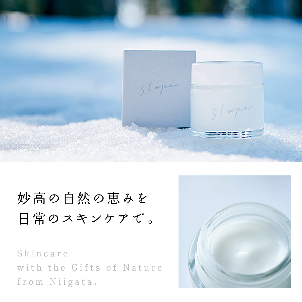 返礼品写真1