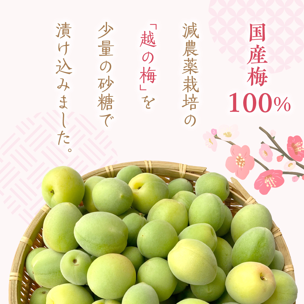 返礼品写真1