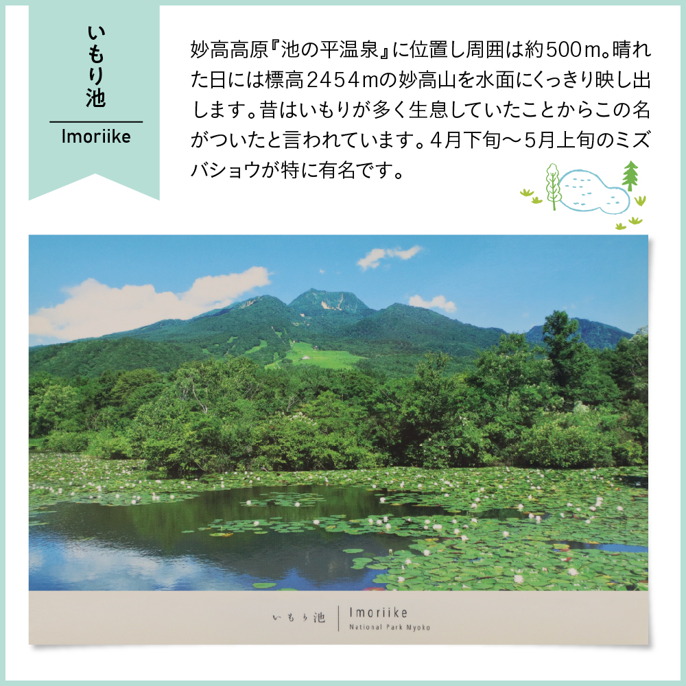 返礼品写真1