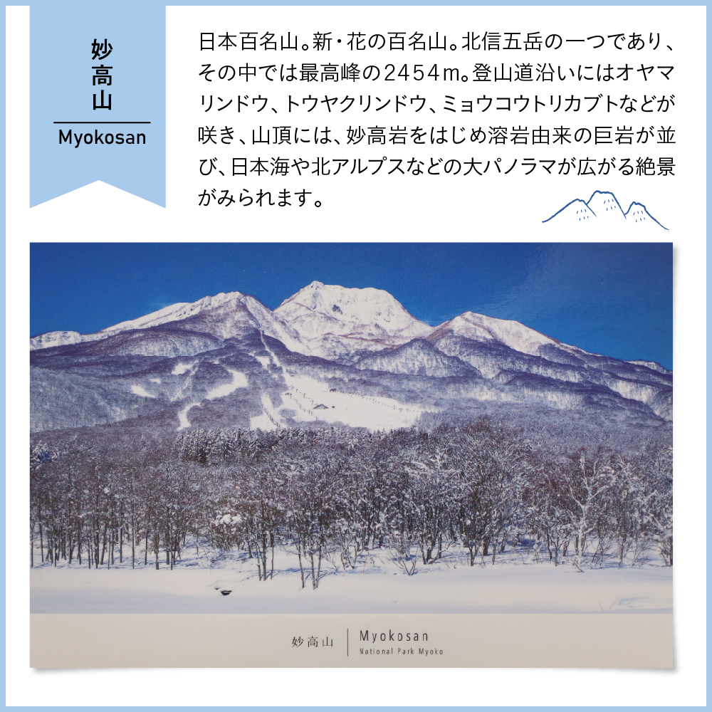 返礼品写真1