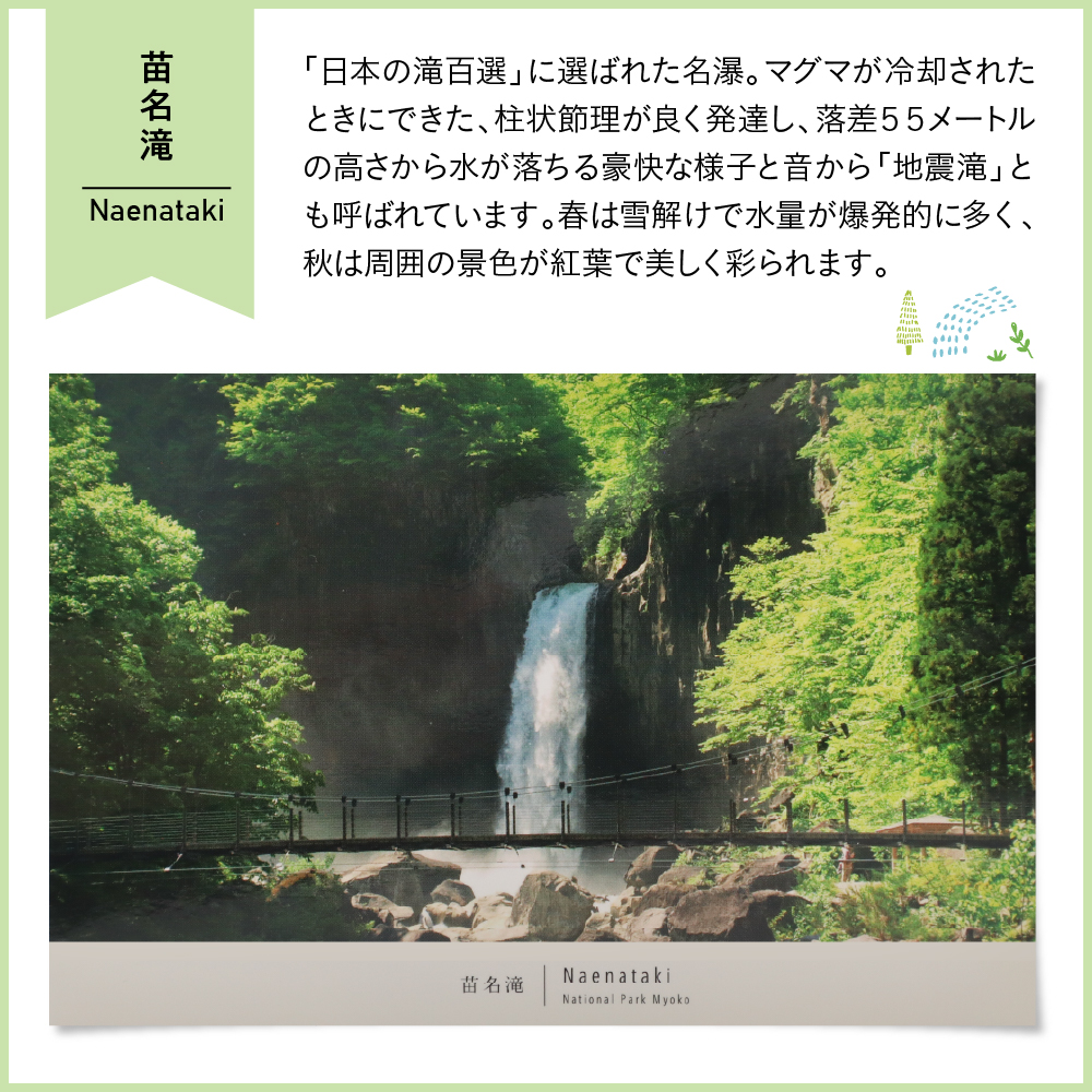 返礼品写真1
