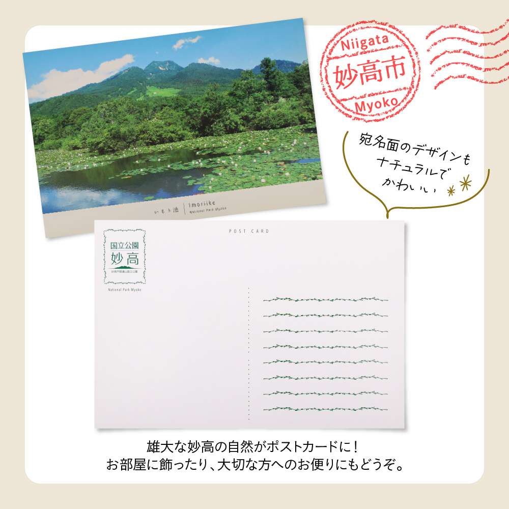 返礼品写真2