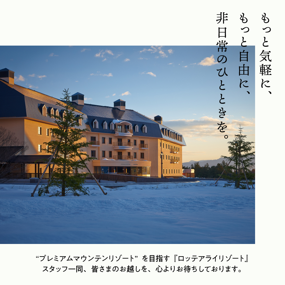 返礼品写真2